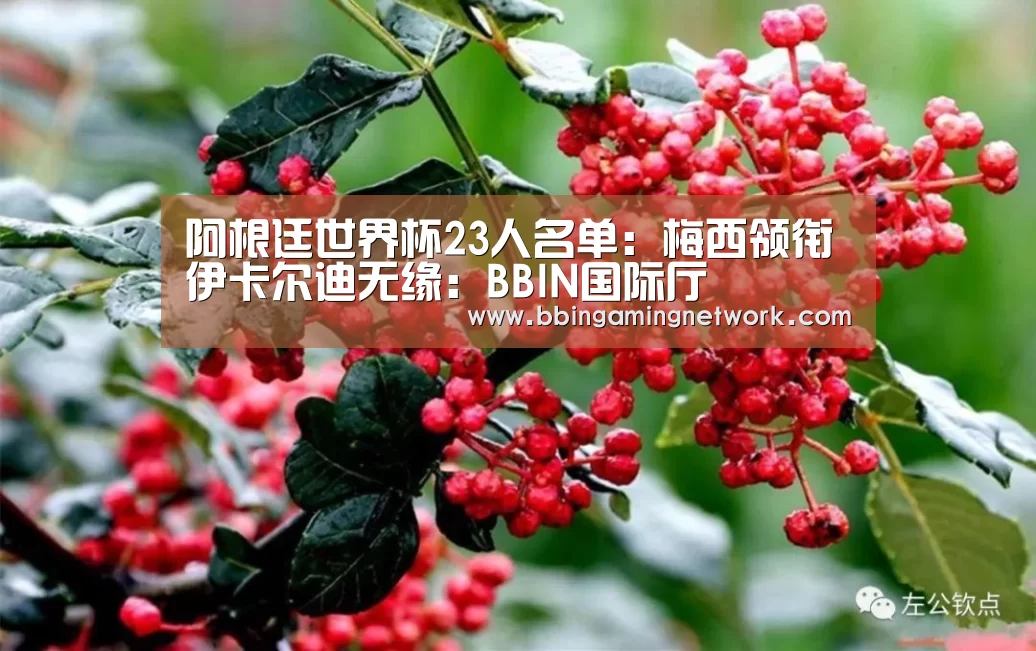 阿根廷世界杯23人名单:梅西领衔伊卡尔迪无缘:BBIN国际厅(图4) 阿根廷世界杯23人名单:梅西领衔伊卡尔迪无缘:BBIN国际厅(图4)