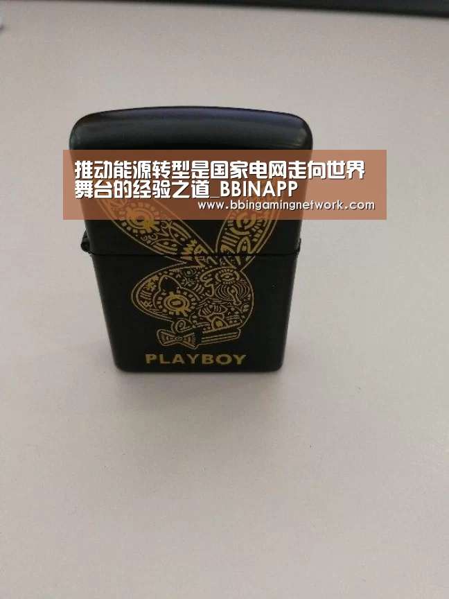推动能源转型是国家电网走向世界舞台的经验之道_BBINAPP(图2) BBIN国际厅