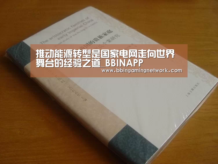 推动能源转型是国家电网走向世界舞台的经验之道_BBINAPP