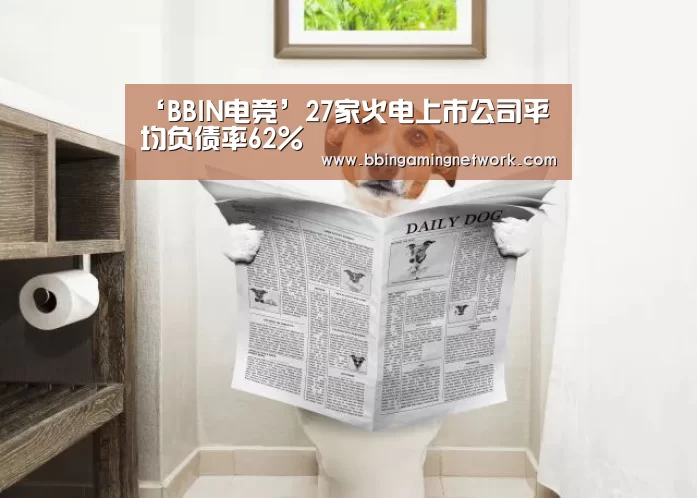 ‘BBIN电竞’27家火电上市公司平均负债率62%(图1) BBIN国际厅