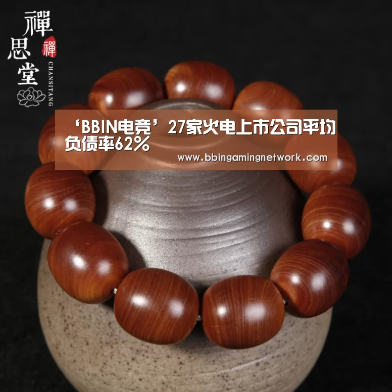 ‘BBIN电竞’27家火电上市公司平均负债率62%(图2) ‘BBIN电竞’27家火电上市公司平均负债率62%(图2)