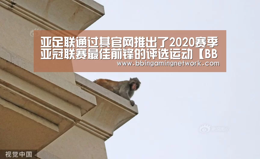 
亚足联通过其官网推出了2020赛季亚冠联赛最佳前锋的评选运动【BBINAPP】(图2)