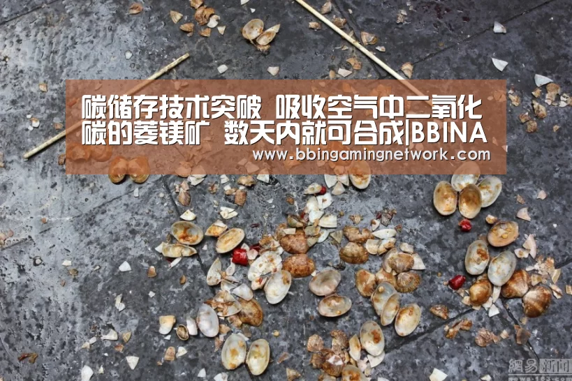 BBIN国际厅