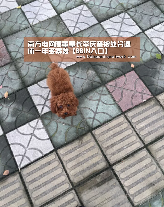 南方电网原董事长李庆奎被处分退休一年多案发【BBIN入口】(图2)