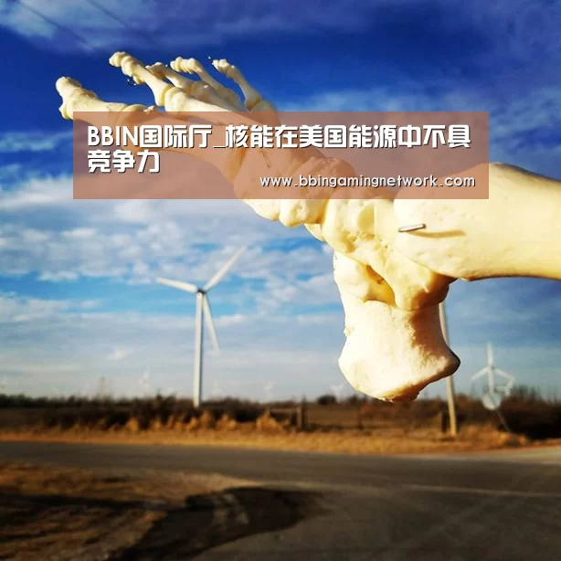 BBIN国际厅_核能在美国能源中不具竞争力(图1)