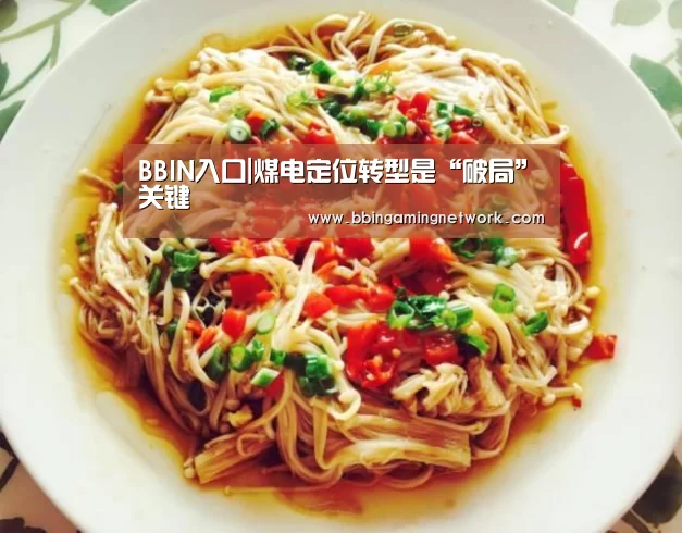 BBIN入口|煤电定位转型是“破局”关键(图3) BBIN国际厅