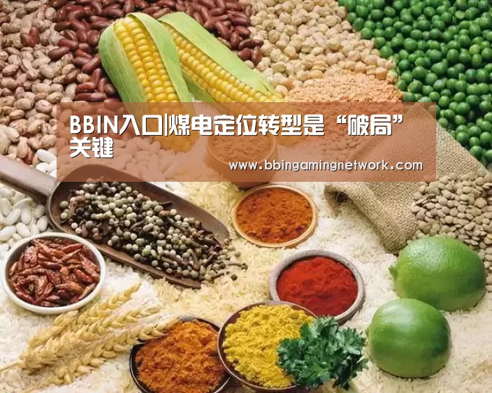BBIN入口|煤电定位转型是“破局”关键(图2) BBIN国际厅